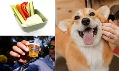 Houmous, Non-Alcoholic Beer and Pet Grooming Added to UK Inflation Basket