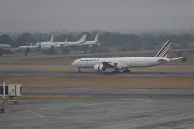 Ireland Deports Over 60 South Africans, Including Nine Children, in Charter Flight Operation