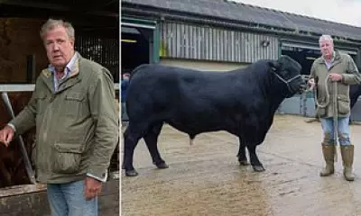 Jeremy Clarkson's Diddly Squat Farm Declared TB-Free After Seven-Month Lockdown