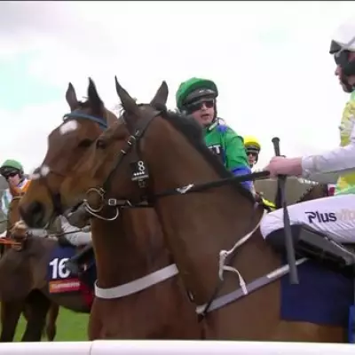 Jockey Cleared of Racist Comments Allegation Following Cheltenham Festival Altercation