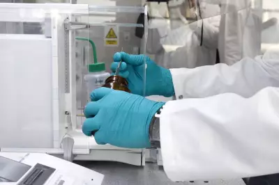 Lab Glove Contamination May Inflate Microplastic Study Results, Research Suggests