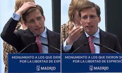 Madrid Mayor's Speech Interrupted by Pigeon Mishap During Press Freedom Ceremony