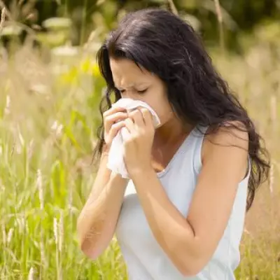 Met Office Issues Hay Fever Alert as 22C Mini Heatwave Approaches UK