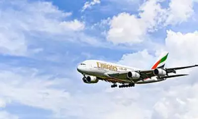 Middle East Travel Alert: Scammers Target Stranded Tourists via Fake Airline Accounts