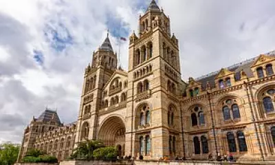 Natural History Museum Crowned UK's Top Tourist Attraction for 2025