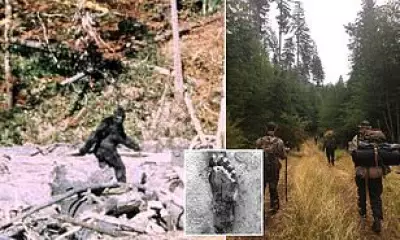 Ohio Bigfoot Sightings Surge: Eight Reports in Four Days Spark 'Flap' Theory