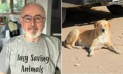 Peter Egan Condemns Morocco's Stray Dog Cull Ahead of 2030 World Cup
