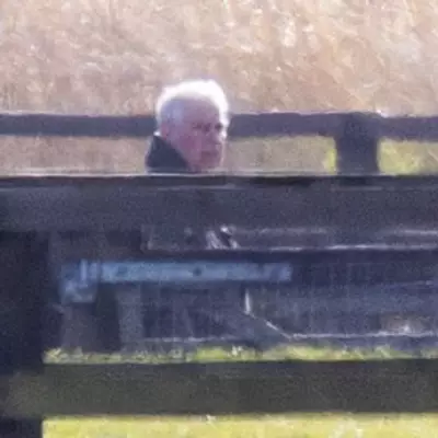 Prince Andrew Spotted Longingly at Horses After Reported Riding Ban