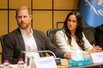 Prince Harry and Meghan Condemn Author's Royal Book as 'Deranged Conspiracy'