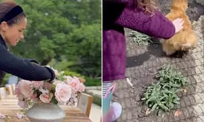 Prince Harry Calls Meghan 'Babe' in Sweet Video of Her Flower Arranging