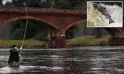 Scotland's Wild Salmon Face Catastrophic Decline as Catches Hit Record Low