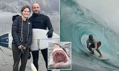 Surfer Battles Shark in California, Credits Lifeguards from Hospital Bed