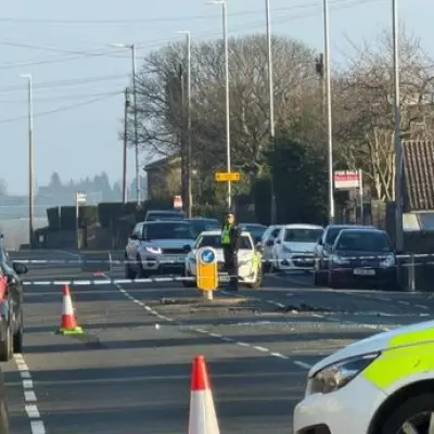 Three Young Men Killed in Halifax Multi-Vehicle Crash, Fourth Critically Injured