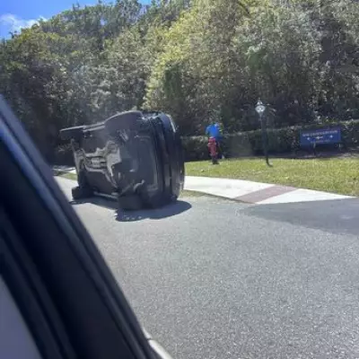 Tiger Woods DUI Arrest: Police Report Details Pills, Phone Use Before Crash