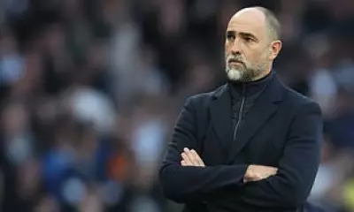 Tottenham's Relegation Battle Reaches Critical Juncture Against Crystal Palace