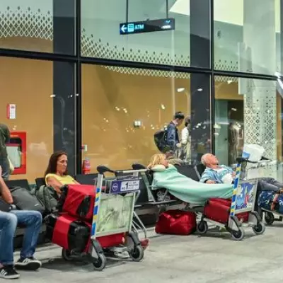 Travel Expert's Guide: What to Do First When Your Flight Gets Cancelled