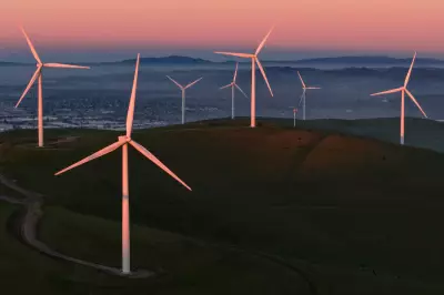 Trump Administration Considers $1 Billion Payout to Halt Offshore Wind Farms