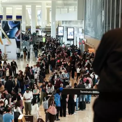 United Airlines Grounds Hundreds of Flights Until Summer's End Amid Fuel Crisis