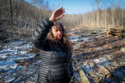 Vermont Silent Retreat Forced to Relocate as Forest Logging Sparks Debate