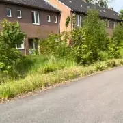 Abandoned British Military Town in Germany Reclaimed by Nature After 13 Years