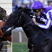 Aidan O'Brien Blames Computer Error for 2,000 Guineas Scratchings