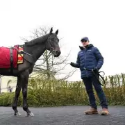 Aidan O'Brien's Guineas Favourite Einstein Withdrawn Due to Injury