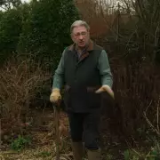 Alan Titchmarsh Urges Gardeners to Banish Weeds Now Without Chemicals