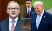 Albanese Rejects Trump's Claims on Australia's Role in Strait of Hormuz Crisis