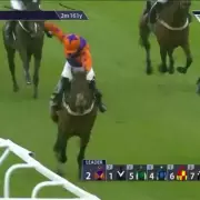 Amateur Jockey Receives 20-Day Ban and Horse Disqualified for Whip Violation