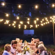 Amazon's Solar Festoon Lights Transform Gardens with Budget-Friendly Ambience