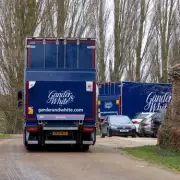 Andrew Mountbatten-Windsor Prepares for New Home as Removal Vans Arrive at Sandringham
