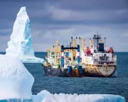 Antarctic Whale Comeback Threatened by Industrial Krill Fishing in Southern Ocean