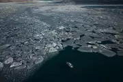 Arctic Sea Ice Hits Record Low Winter Peak Amid Global Heatwave