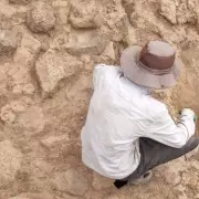 Are You Tired? The Surprising Science Behind Fatigue and How to Combat It