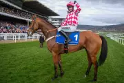 Arkle Chase 2026 Betting Guide: Odds, Trends & Tips for Cheltenham