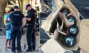 Asylum Seeker Caught with Laughing Gas Canisters Granted UK Leave to Remain
