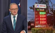 Australia's $9.99 Fuel Price Panic: Service Stations' Placeholder Sparks Alarm