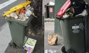 Australia's Waste Crisis Looms as Fuel Shortages Threaten Rubbish Collections