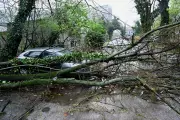 Balkan Blizzard Batters Region: Schools Shut, Power Cut, Roads Blocked