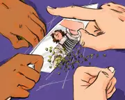 Beyond Noma: The Systemic Rot in Fine Dining's Toxic Kitchen Culture