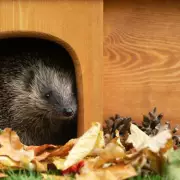 B&M's £15 Hedgehog House: A 'Wonderful' Wildlife Boost for UK Gardens