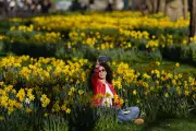 Britain Braces for Warmest Day of 2026 as Meteorological Spring Arrives