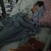 British Boy, 7, Hospitalised with Life-Threatening Kidney Condition After Egyptian Holiday