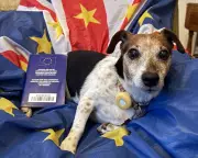British Pet Owners Warned Over EU Pet Passport 'Dodge' Post-Brexit