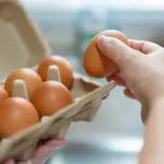 British Supermarket Egg Safety: The Red Lion Code Explained