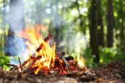 Cairngorms National Park Implements Seasonal Campfire Ban to Combat Wildfire Threat
