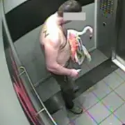 Canadian Man Charged with Felony Animal Cruelty After Flamingo Hotel Break-In