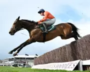 Cheltenham Cancels Final Races for Major Drainage Repairs on Home Straight