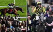 Cheltenham Drama: Nicholls' Disappointment, Cobden's Brilliance, and Galopin's Retirement