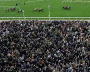Cheltenham Festival 2026: A Bounce-Back Marred by Fatalities and Fallouts